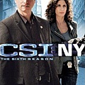 CSI: NY 第六季美版一區 DVD 封面