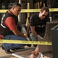 CSI, 11.09 Wile Life