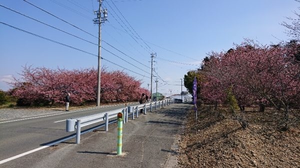 青空に映える.jpg