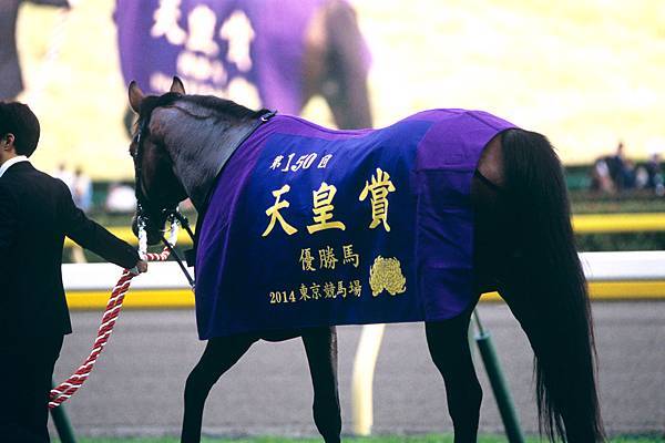 天皇賞競馬.jpg