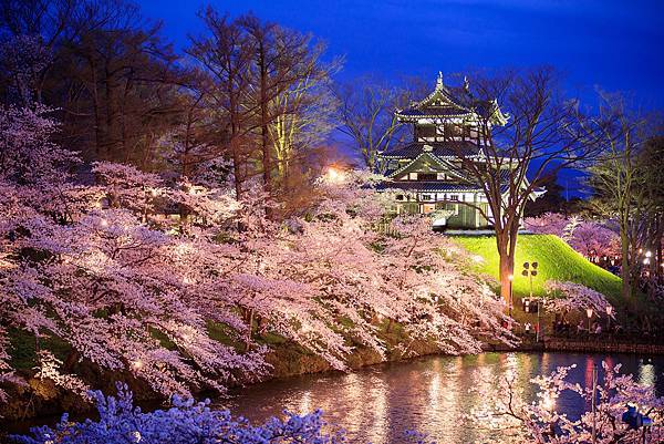 高田城址公園観桜会 2023年.jpg