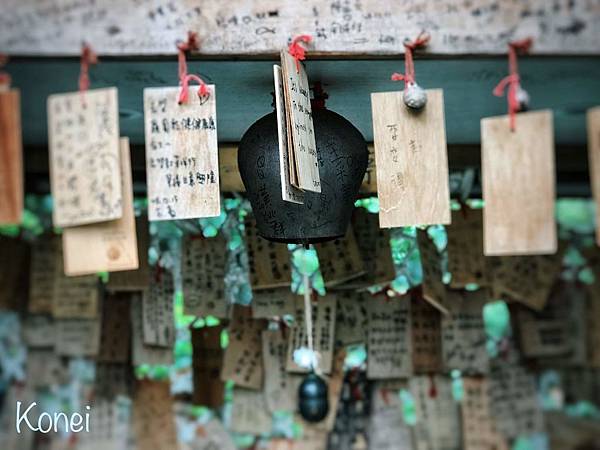 花蓮山度空間