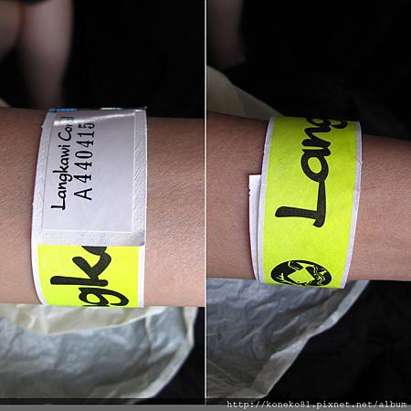 IMG_4895-6.jpg IMG_4895-6.jpg