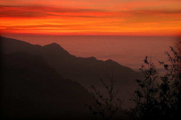 IMG_9301 IMG_9301