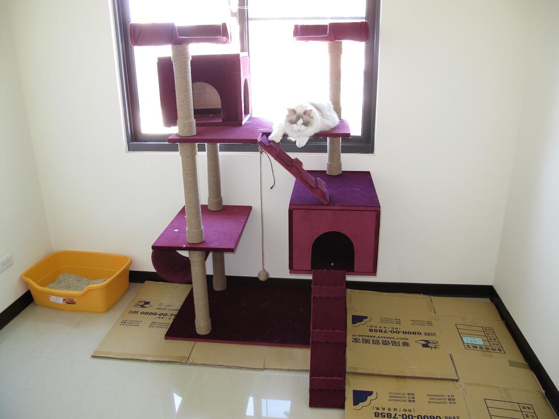 照片 047.jpg 照片 047.jpg