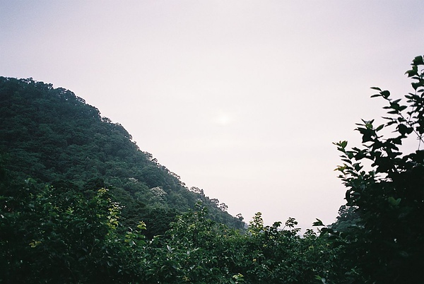 tn_F1000001.JPG
