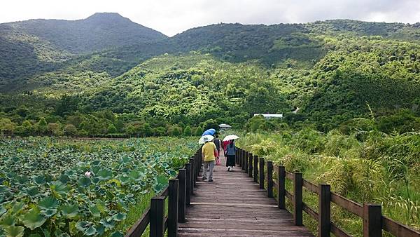 2017.7.14第二站 馬太鞍濕地_170718_0015.jpg