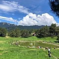 20196端午節福壽山露營、合歡溪_190610_0044.jpg