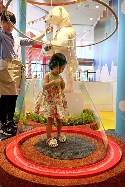 DSCF7340.jpg DSCF7340.jpg