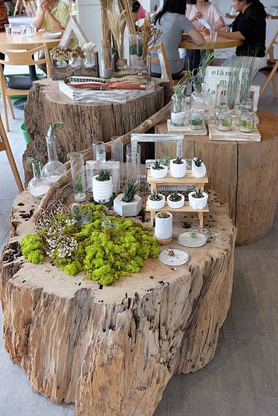 DSCF6799.jpg DSCF6799.jpg