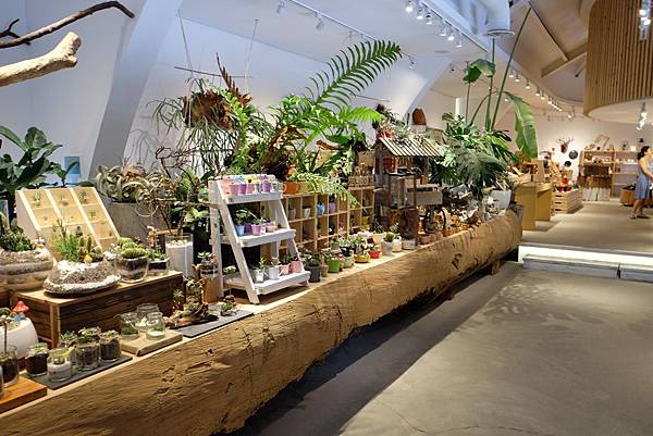 DSCF6810.jpg DSCF6810.jpg