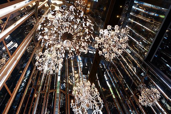 DSCF9690.jpg DSCF9690.jpg