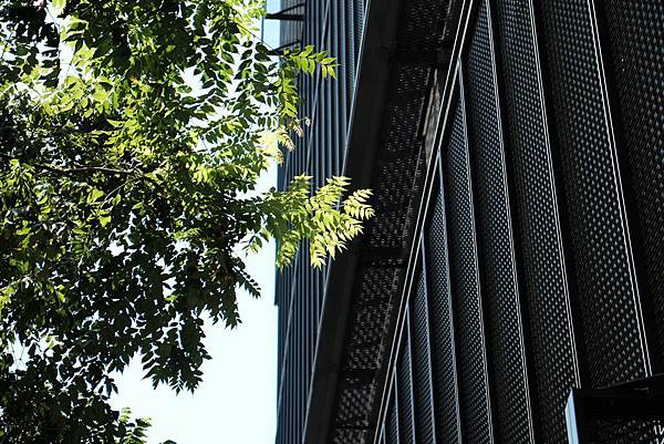 DSCF9785.jpg DSCF9785.jpg