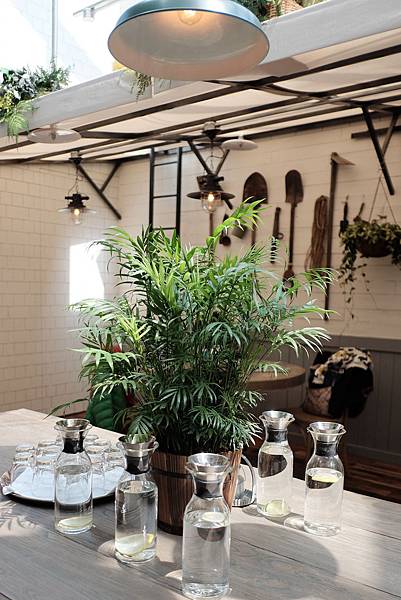 DSCF3642.jpg DSCF3642.jpg