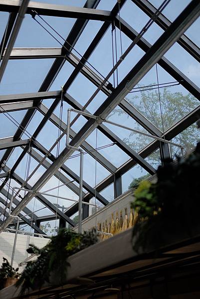 DSCF3658.jpg DSCF3658.jpg