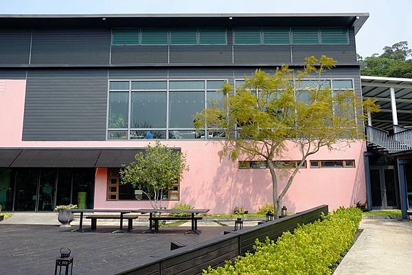 DSCF1878.jpg DSCF1878.jpg