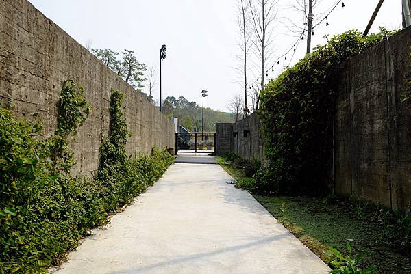 DSCF1882.jpg DSCF1882.jpg