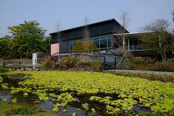 DSCF1902.JPG DSCF1902.JPG