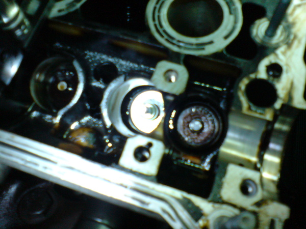 DSC01909.JPG