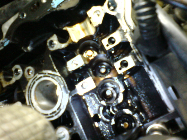 DSC01916.JPG