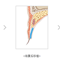 006p9jLGzy7bk01j1Ha70&690.png