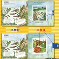 讀者文摘動物拉拉書2.jpg