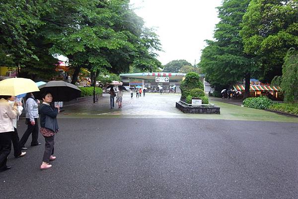 起了個大早去上野公園～下雨天也很開心！