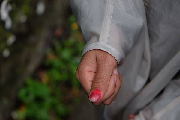 [台灣/新店] 2018.2 探訪烏來信賢步道