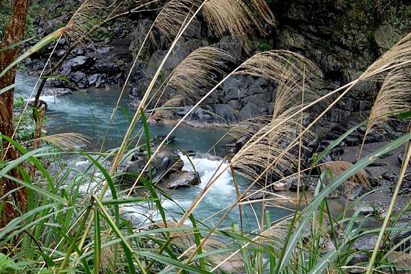 [台灣/新店] 2018.2 探訪烏來信賢步道