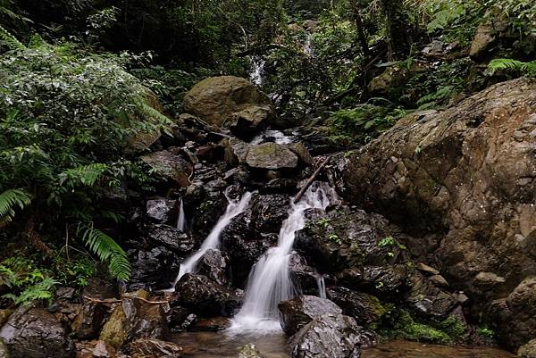 [台灣/新店] 2018.2 探訪烏來信賢步道