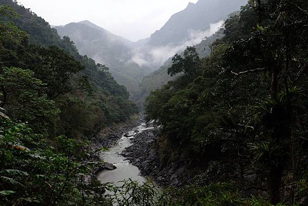 [台灣/新店] 2018.2 探訪烏來信賢步道