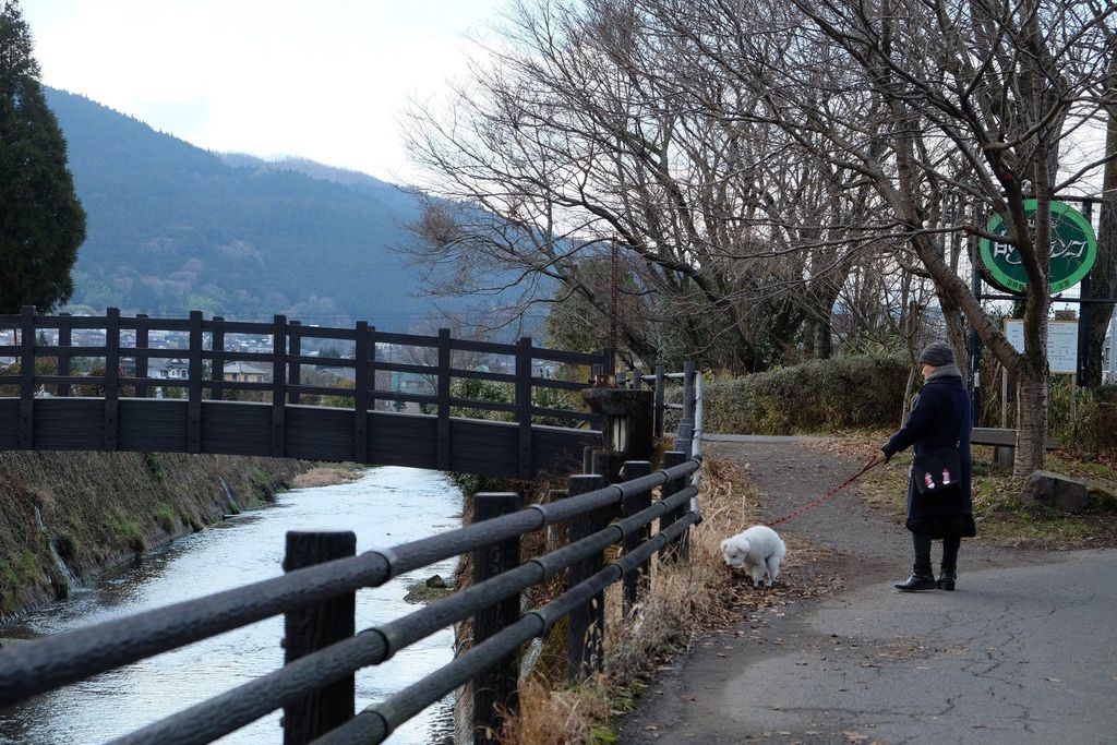 [日本九州] 金鱗湖好美啊 !!!