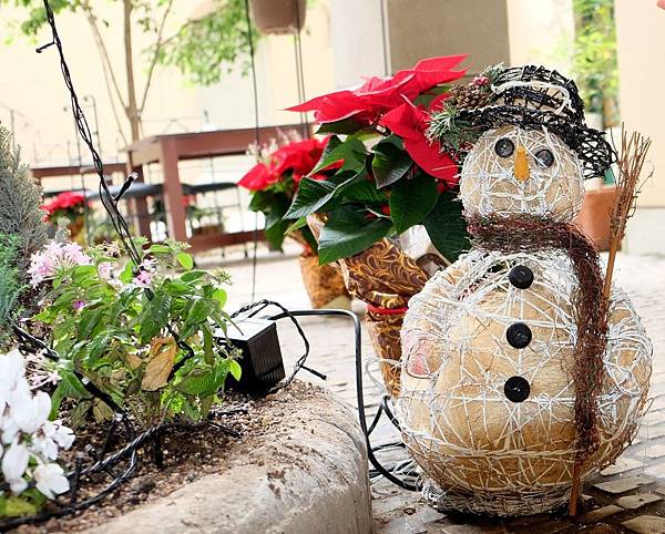 [日本九州] 2017 冬季 北九州 8天7夜自駕之旅