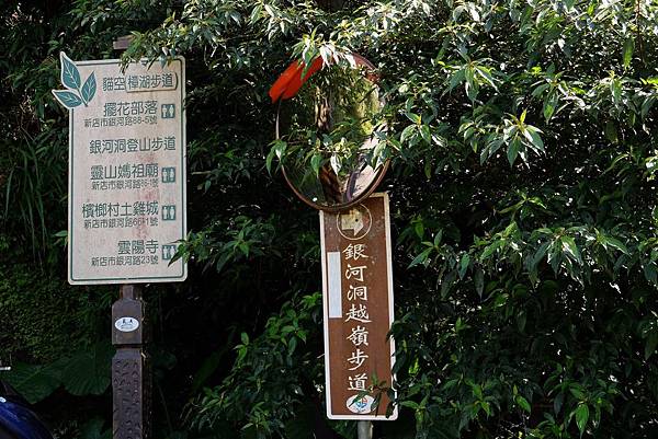 DSCF0030.JPG DSCF0030.JPG