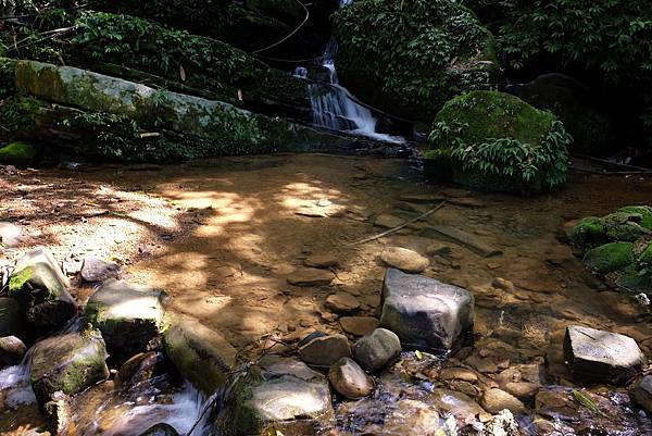 DSCF0026.JPG DSCF0026.JPG