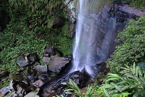 DSCF0006.JPG DSCF0006.JPG