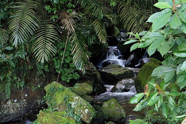 DSCF9952.JPG DSCF9952.JPG