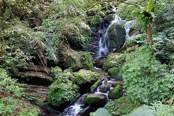 DSCF9959.JPG DSCF9959.JPG