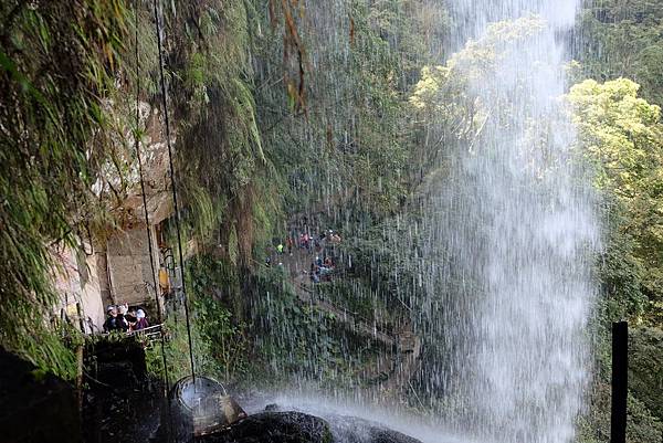 DSCF9982.JPG DSCF9982.JPG