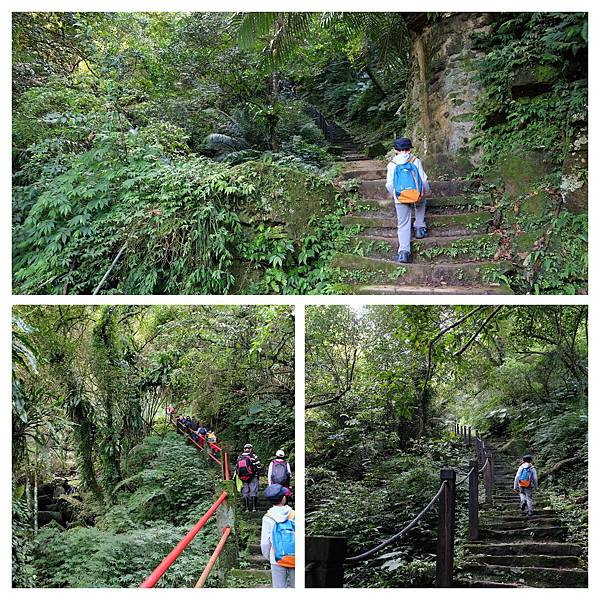 DSCF9953-COLLAGE.jpg DSCF9953-COLLAGE.jpg