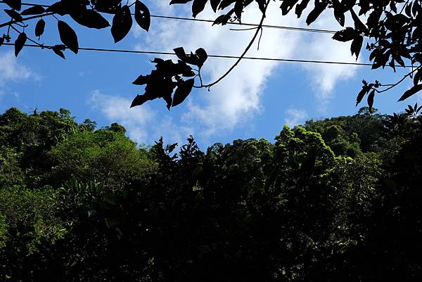 DSCF0027.JPG DSCF0027.JPG