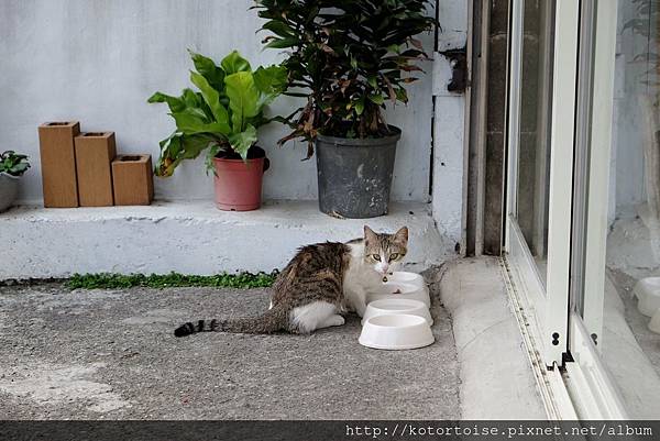 [犛牛的台灣景點] 新北: 近在咫尺的山水秘境