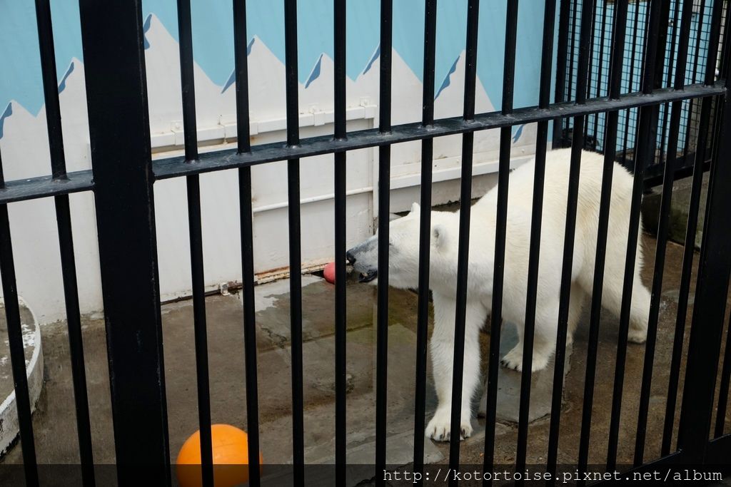 [日本北海道] 釧路市動物園