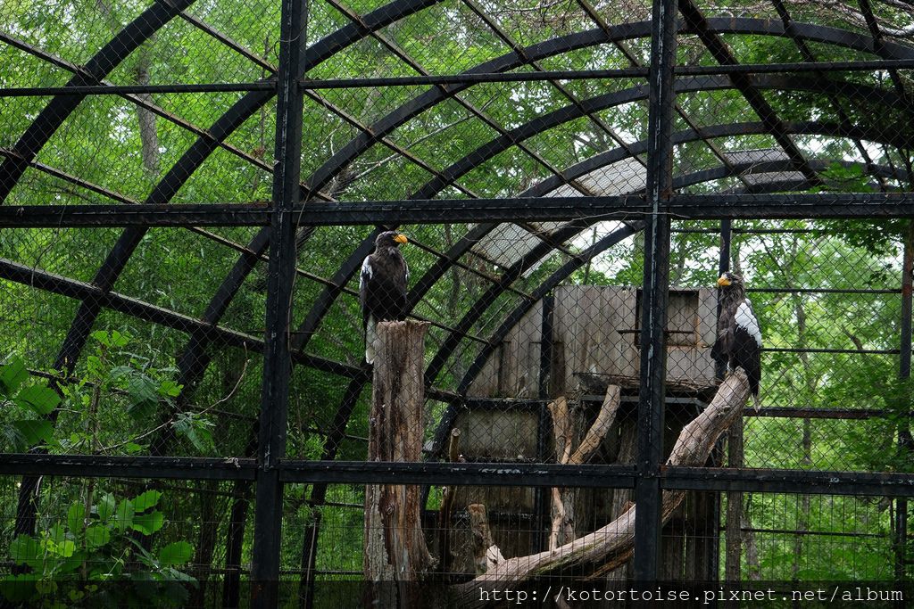 [日本北海道] 釧路市動物園