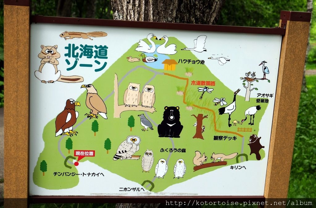 [日本北海道] 釧路市動物園