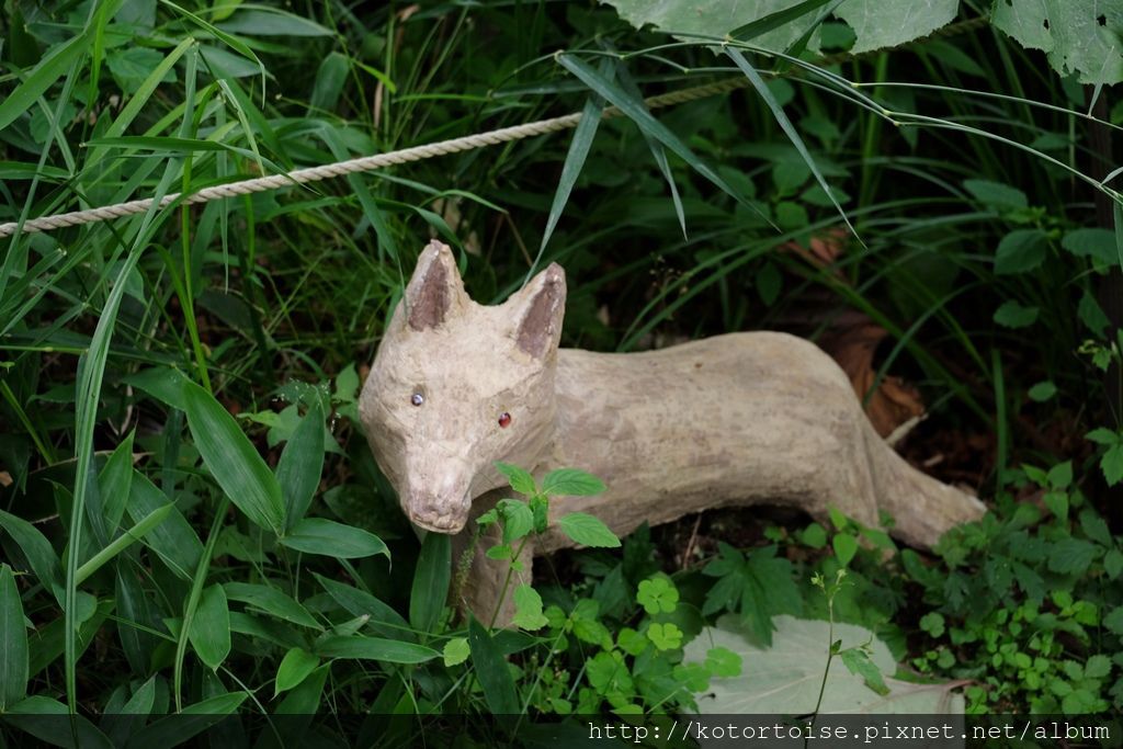 [日本北海道] 釧路市動物園