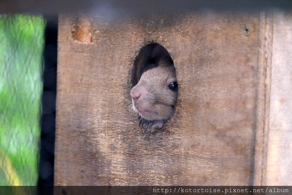 [日本北海道] 釧路市動物園