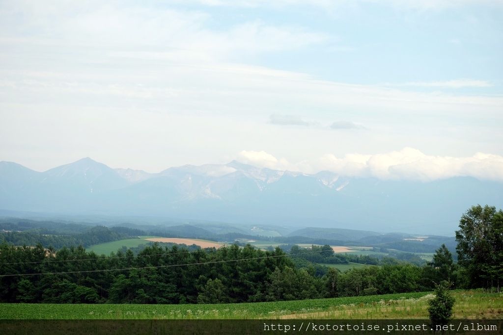 [日本北海道] 美不勝收的公路之旅  - 美瑛