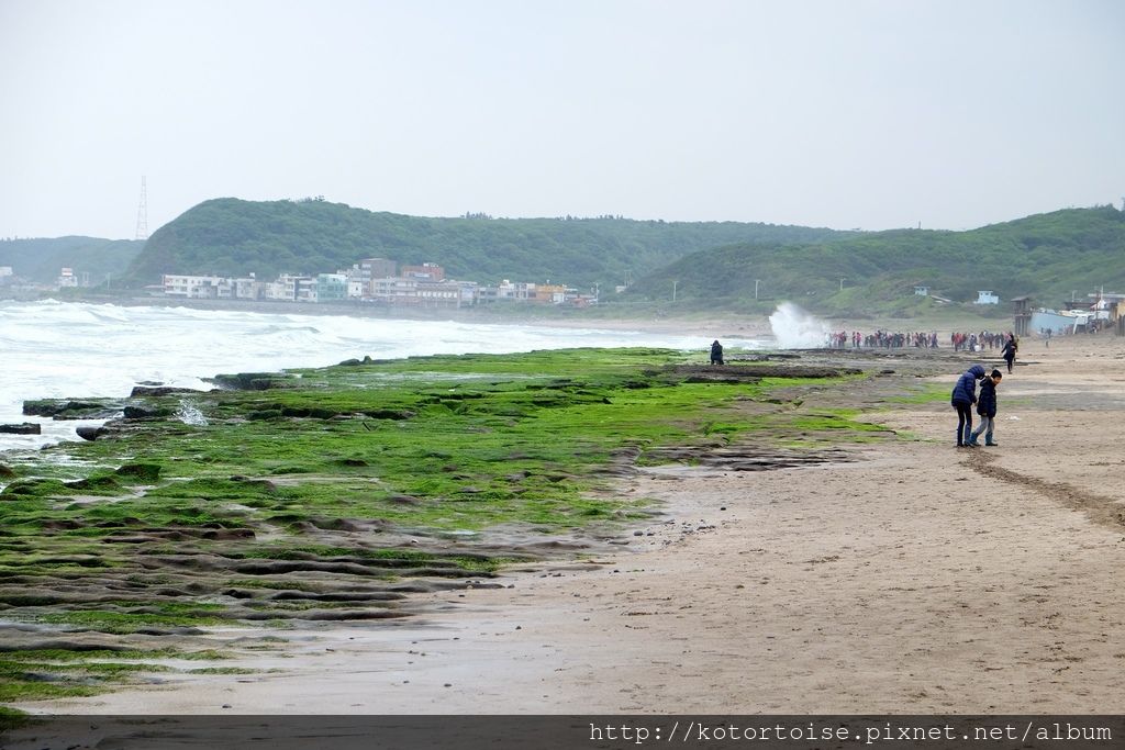 [台灣/石門] 2018.4 季節限定美景: 石門老梅綠石槽