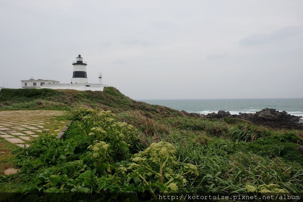 [台灣/石門] 2018.4 季節限定美景: 石門老梅綠石槽